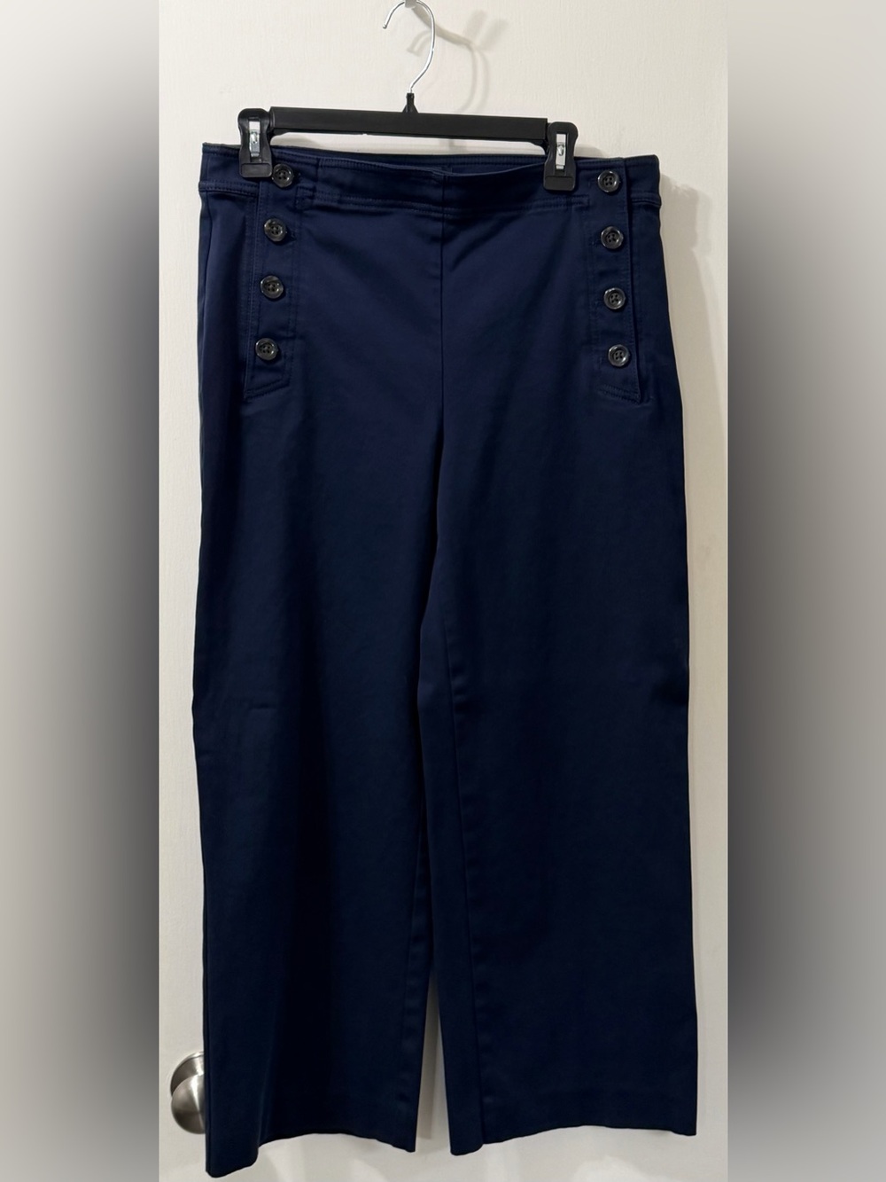 Ann Taylor Navy Sailor Button Front Chinos